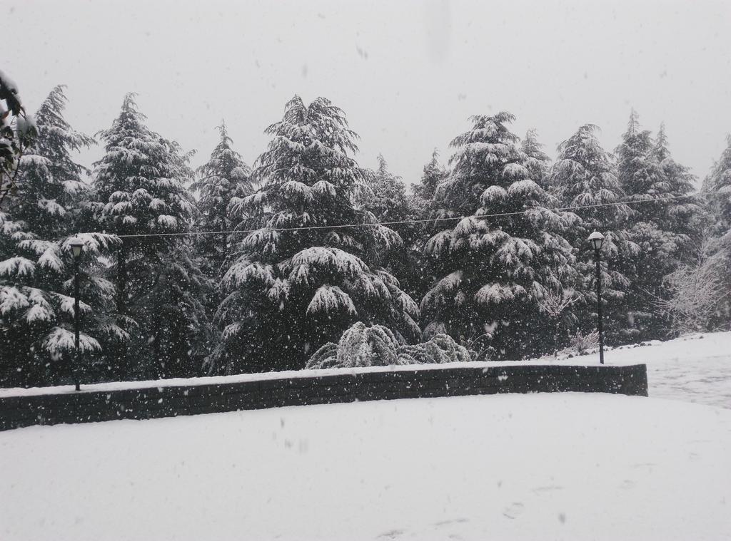 Woodsmoke Retreat Hotel Shimla Exterior photo